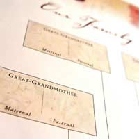 Genealogy Freelance Investigating